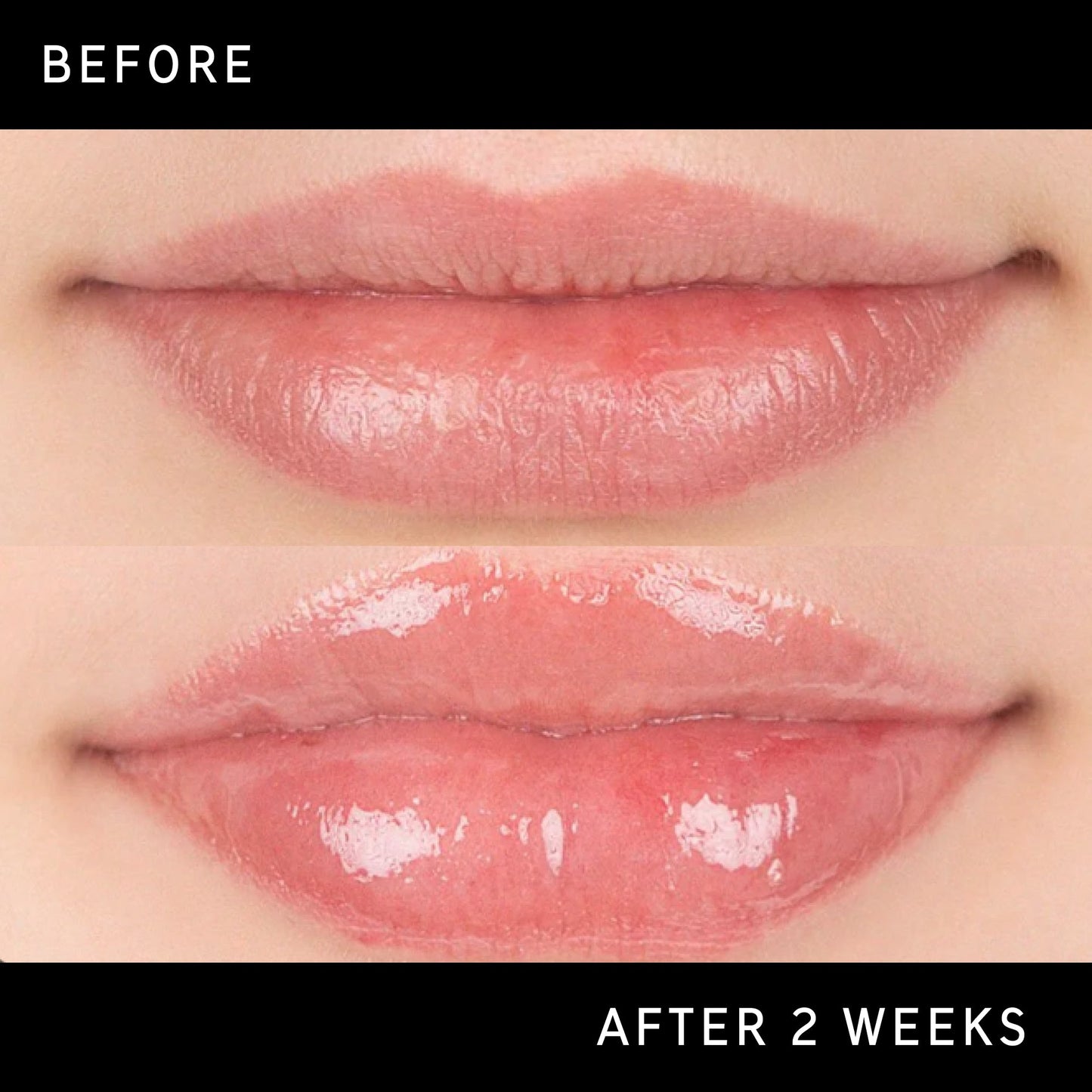 tripeptide-plumping-lip-balm-t3 DTC-Top15_Amends_Tripeptide-Lip_B_A.jpg
