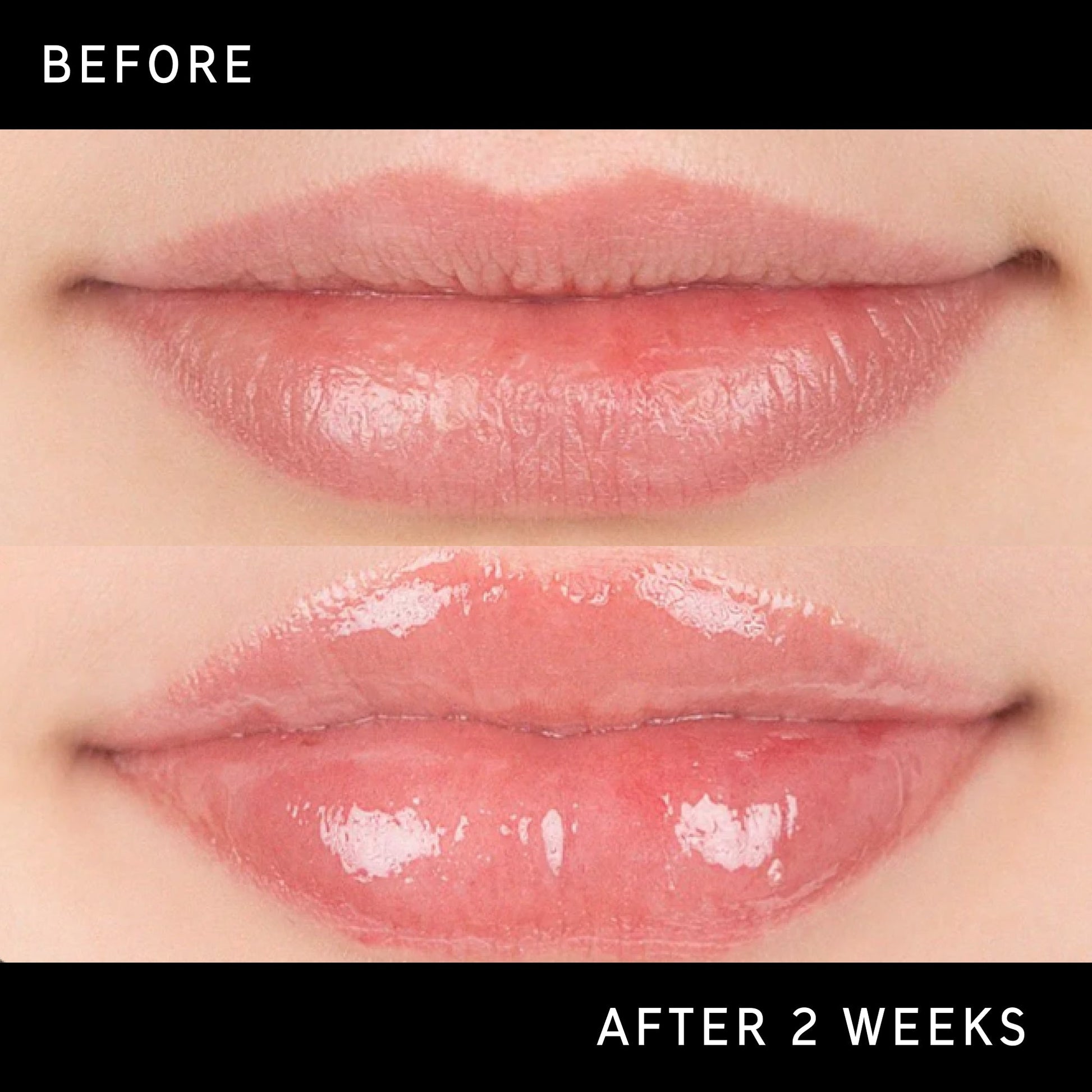tripeptide-plumping-lip-balm-t3 DTC-Top15_Amends_Tripeptide-Lip_B_A.jpg